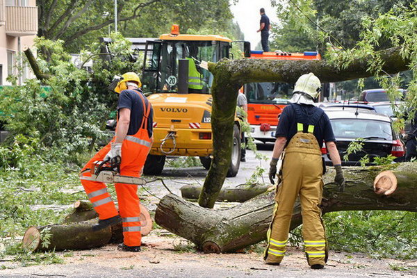 Feuerwehr_Baum   023.jpg